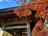 呑山観音寺🫶