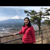 พาไปชมวิวที่ Mt. Fuji Panoramic Ropeway 