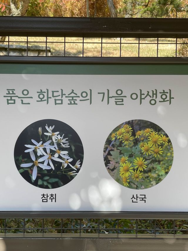 곤지암 단풍여행 :: 화담숲🍁