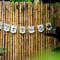 วิวสวนคาเฟ่ Viewsuan cafe
