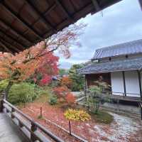 麻雀雖小但紅葉鋪天的優美寺院 - 寶筐院