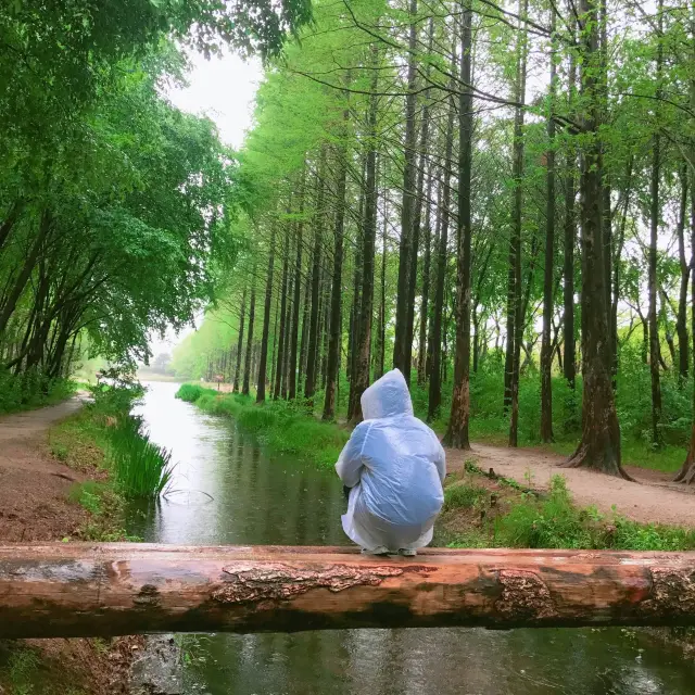 경주 구석에서 인생샷 찍을 수 있는 곳🌴