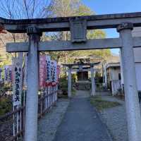 【甲府】甲斐善光寺