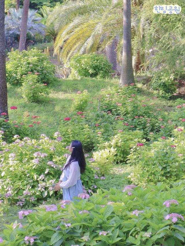 🏝️ 저장 안하면 후회하는 제주 서쪽 여행지_zip