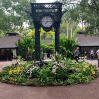 Botanic Garden Singapore 