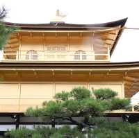 Golden Pavilion (Kinkakuji Temple)