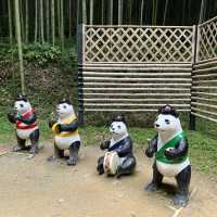 담양 죽녹원