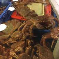 台北海鮮市場🦞餐廳｜上引水產