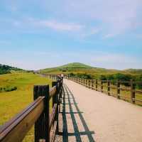 擎天崗中央步道