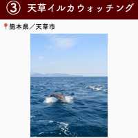 【熊本】行ってよかった熊本の観光地7選