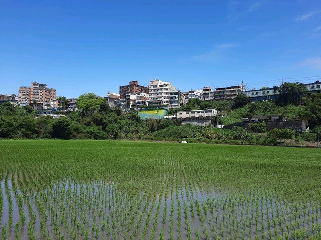 【桃園】秘境景點-順時埔