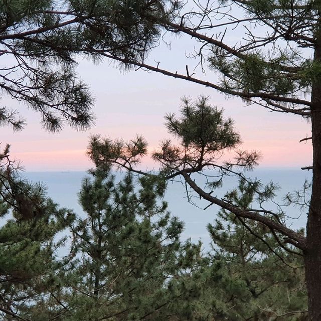 광안대교 달려~ 일출보러 가자 <부산, 오륙도>