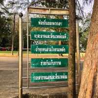 หาดนราทัศน์