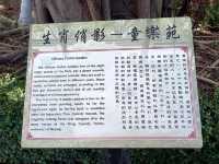 城寨回憶