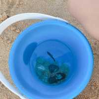 夏天去玩水啦！石澳沙灘🏖️