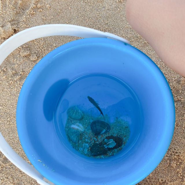 夏天去玩水啦！石澳沙灘🏖️