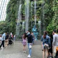 FLOWER DOME & CLOUD FOREST !