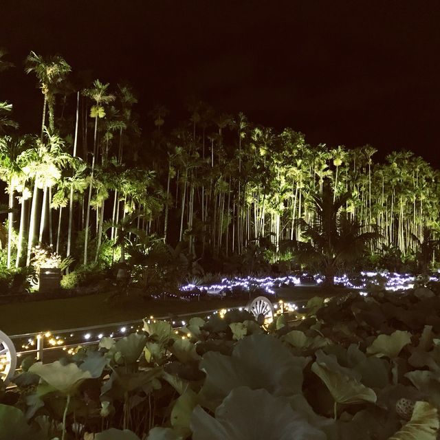 【沖縄県・沖縄市】夜はミステリアス！？　東南植物楽園　