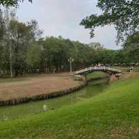 台南德元埤荷蘭村-免門票休閒遊玩好去處