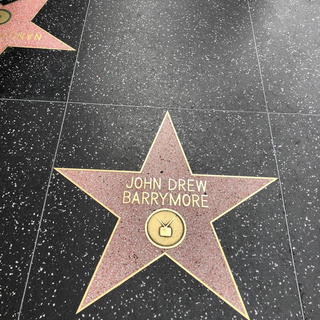 The famous Walk of Fame