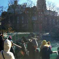 เที่ยว Central Park Zoo กัน
