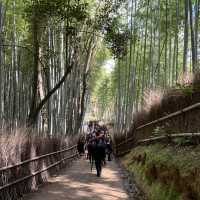 嵐山 竹林之道