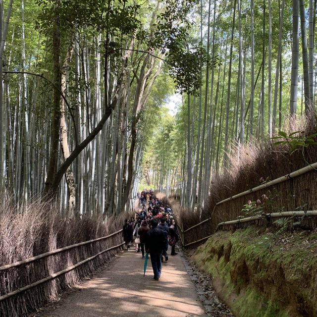 嵐山 竹林之道