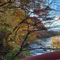 มรดกโลก สะพานชินเคียว🍁🍁🍁