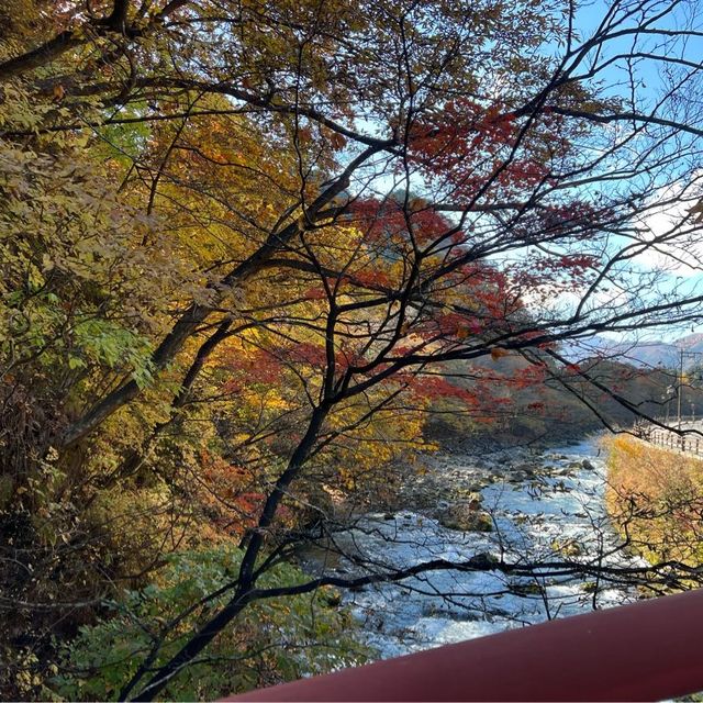 มรดกโลก สะพานชินเคียว🍁🍁🍁