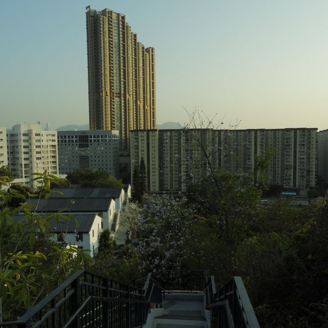 春日節目之小眾文青好去處 