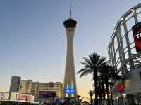 Vegas Views from the SkyPod