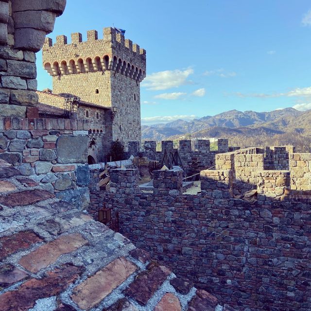 Magnificent Italian castle in Napa
