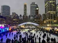 Awesome Lights Toronto Old City Hall at night