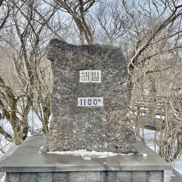 겨울왕국 제주, 한라산 1100고지❄️