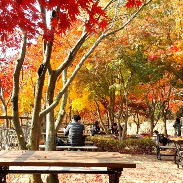 Colours of autumn at Hwadam-sup