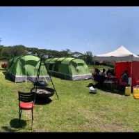 Savannah park  restaurant & camping naivasha 