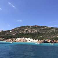 blue sardinia