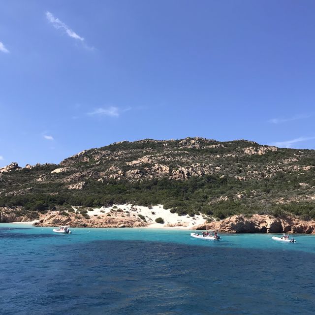 blue sardinia