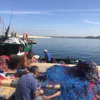 gallipoli down town