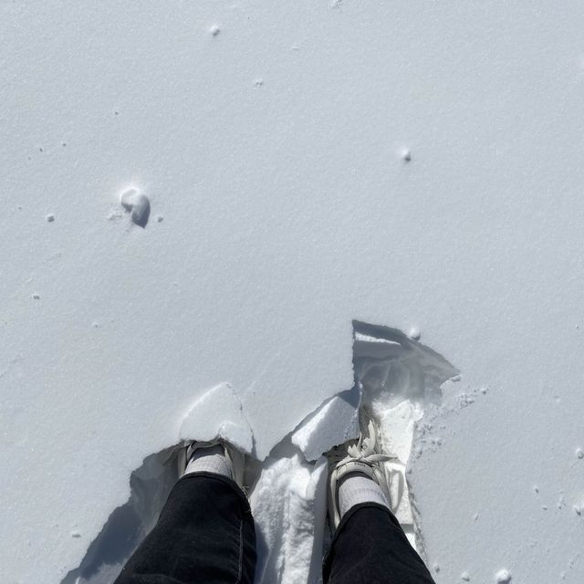 영화 속 그 산! 초콜릿 속 그 산! 마테호른!🏔️