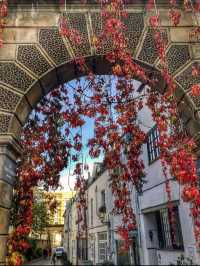 Fall 🍁in London