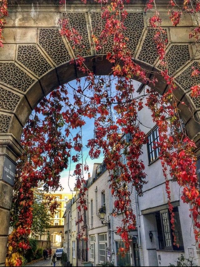 Fall 🍁in London