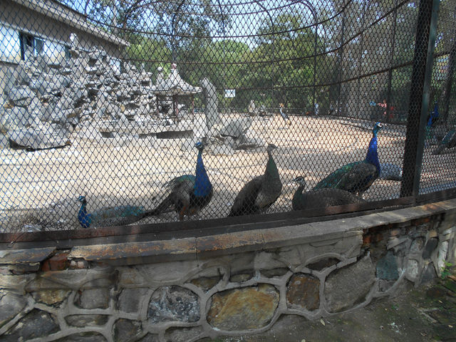 Tianjin Zoo