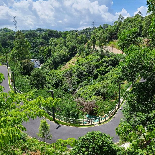 Beautiful new park in Bantian