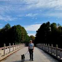 Haiwan Forest- Pet friendly & in Shanghai