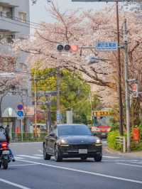 Nakano Ward, Arakawa Yakushi