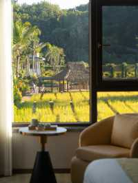 Bali Ubud⁉️ Xishuangbanna Rainforest Hot Spring Hotel is so beautiful.