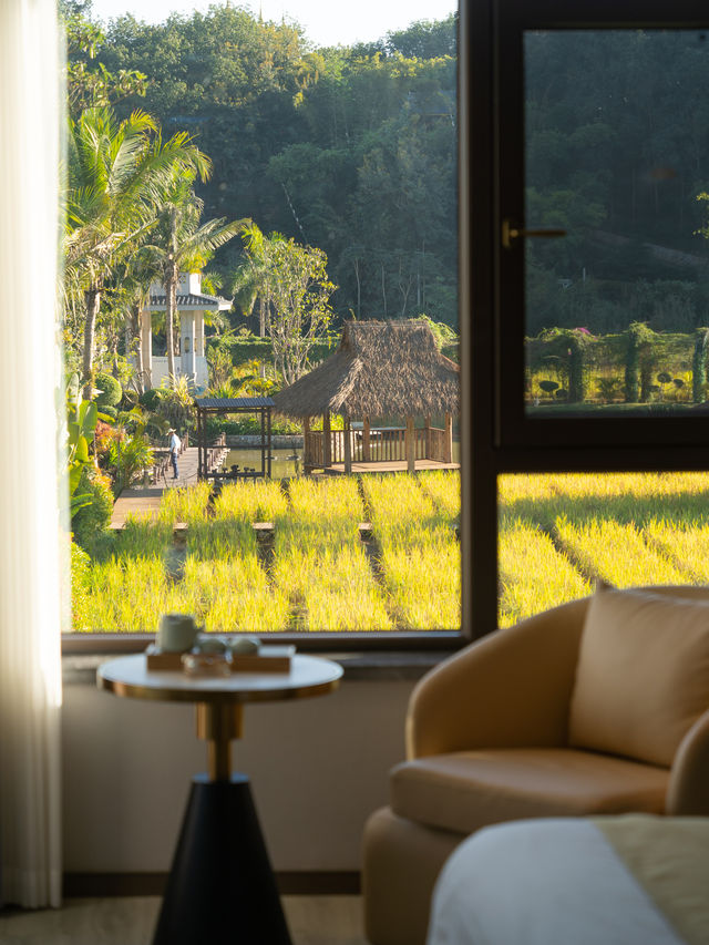Bali Ubud⁉️ Xishuangbanna Rainforest Hot Spring Hotel is so beautiful.