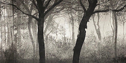 Monotype / monoprint workshop (weekend) | Hello Print Studio