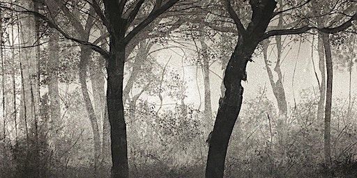 Monotype / monoprint workshop (weekend) | Hello Print Studio